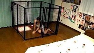 Thumbnail of post image 136